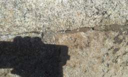 sandymount tower 10780.jpg